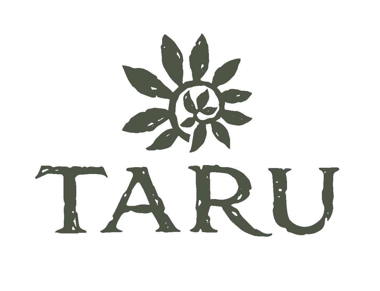 Taru