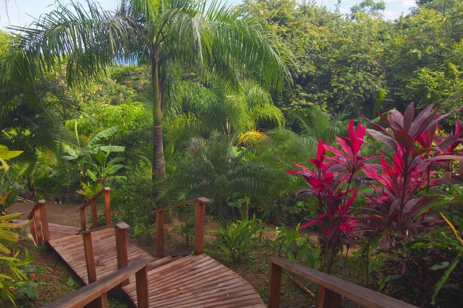 Wooden walkway through the tropical garden to Garden Heights Studio