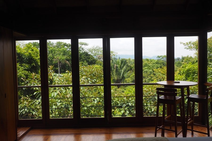 Rainforest canopy seen through the bungalow windows in Montezuma, Costa Rica