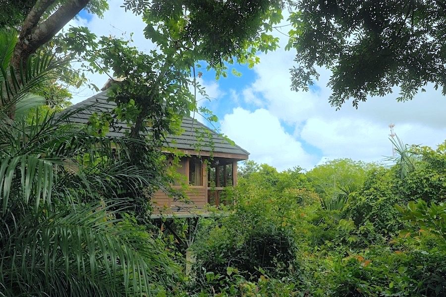 Jungle Canopy Bungalow perched among the treetops above Montezuma, Costa Rica