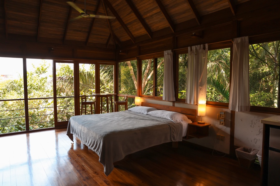 Vaulted teak ceiling and wraparound windows inside the Jungle Canopy Bungalow