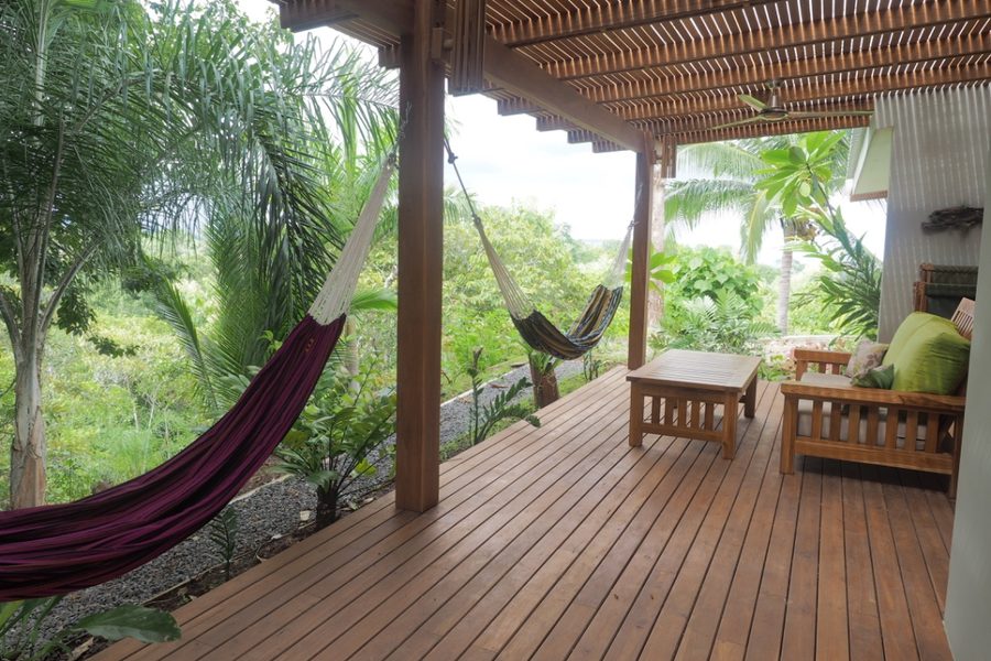 Home in a Monkey's Playground