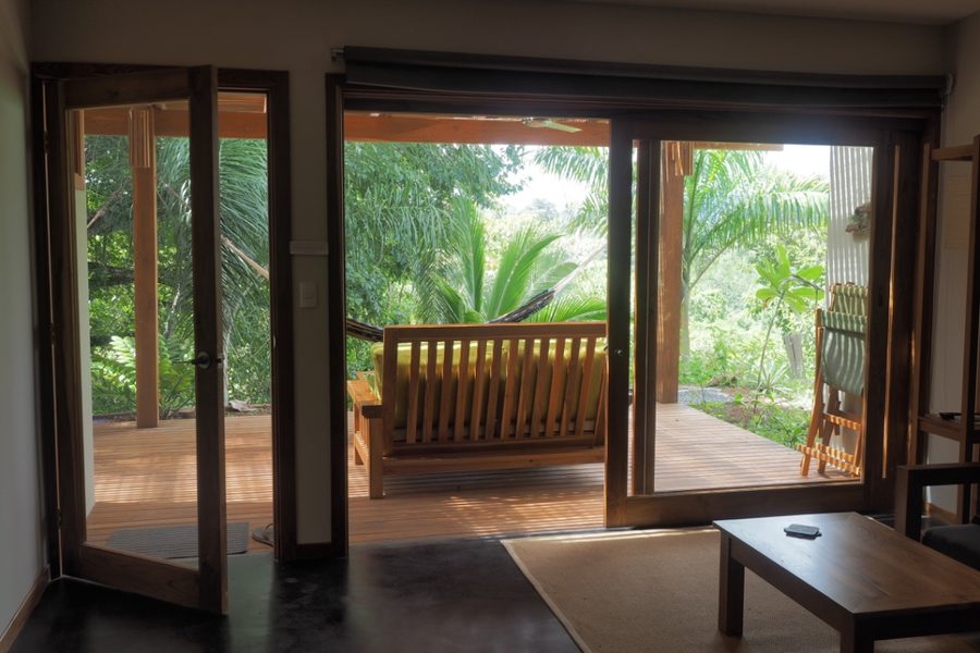 Home in a Monkey's Playground