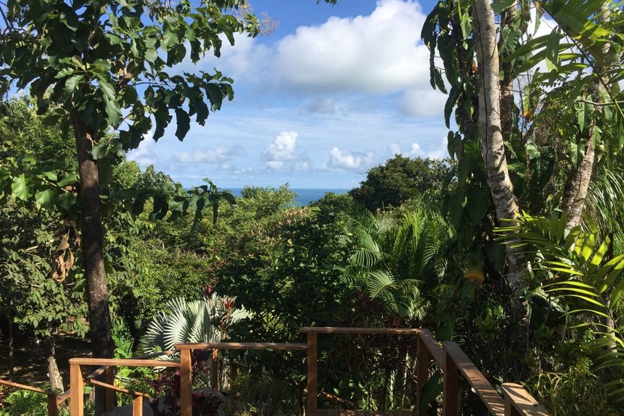 Oceanview Studio